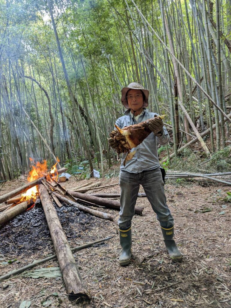 畑の上の竹林の整備。タケノコも掘っている。